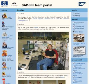 screenshot SAP team portal