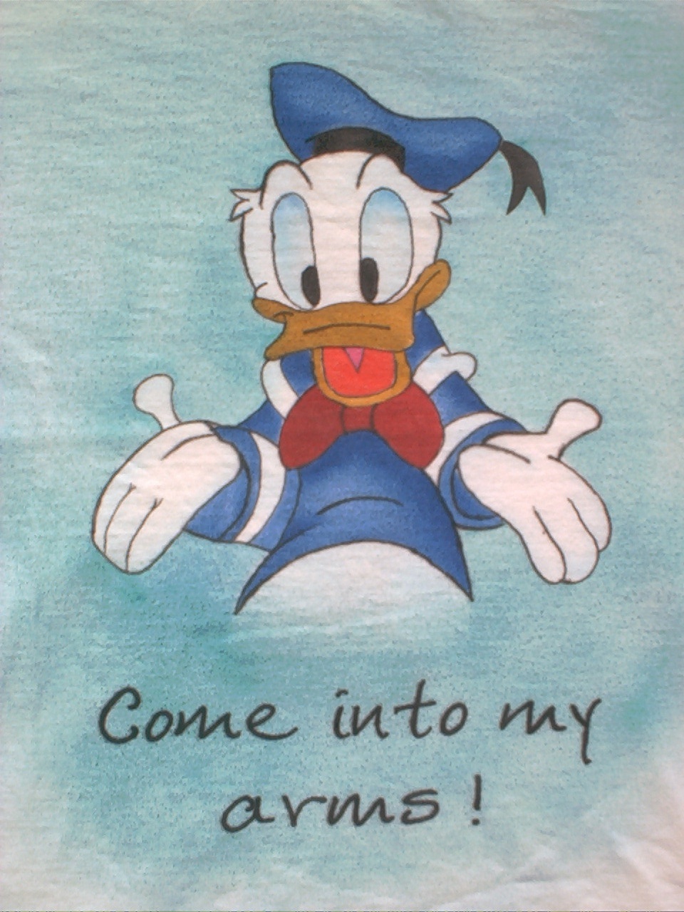 Donald Duck in love front.closeup